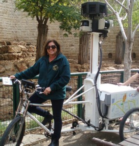מנהלת גן החיות אתי אררט על אופני מצלמות הגוגל צילום אלה נחמוב